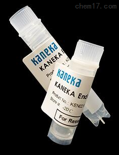 KANEKA核酸内切酶